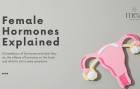 Female Hormones Explained