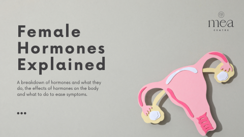 Female Hormones Explained